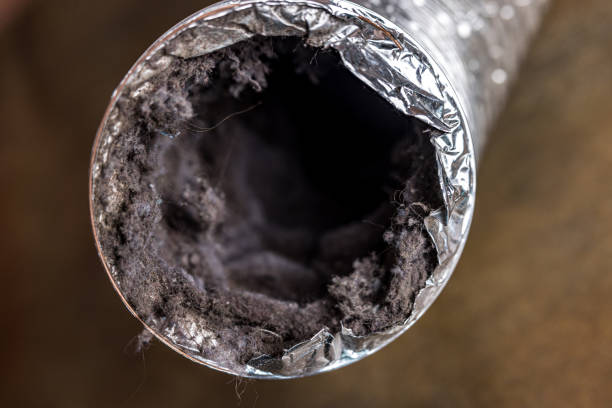 Best HVAC System Cleaning  in Erwin, TN