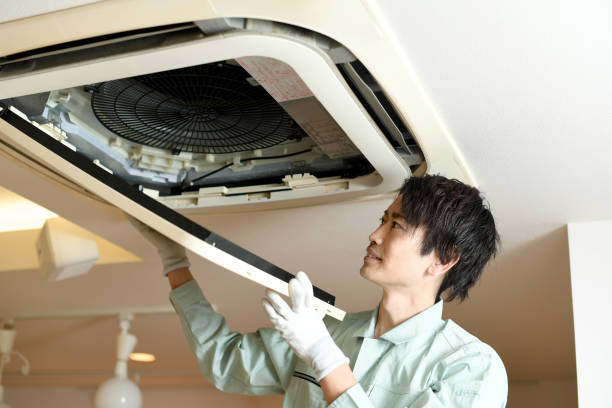 Best Air Vent Cleaning Services  in Erwin, TN